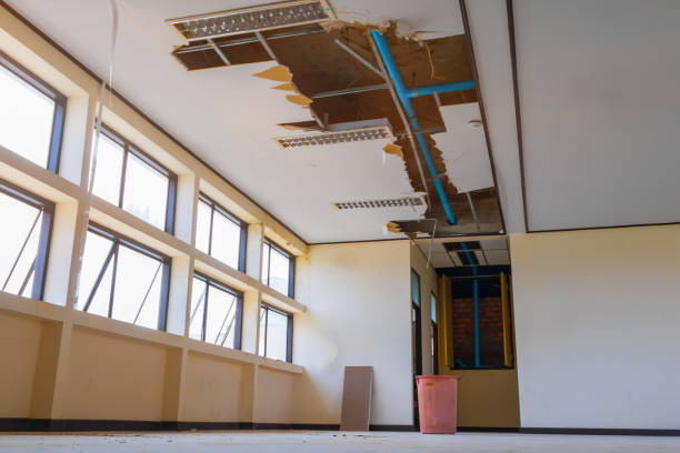 Best Residential water damage restoration  in Holiday Island, AR
