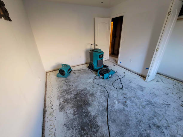 Carpet water damage restoration in Holiday Island, AR