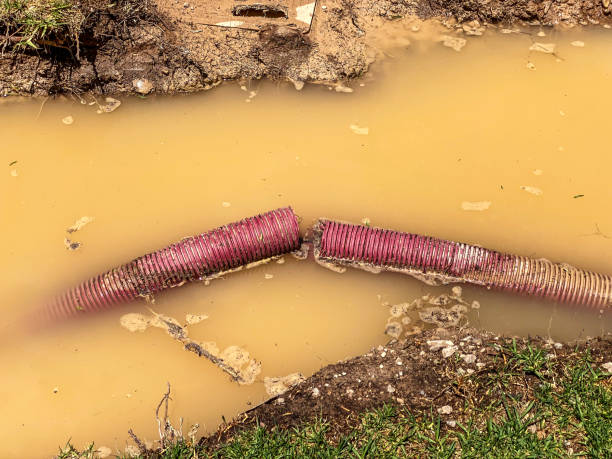 Best Emergency water damage restoration  in Holiday Island, AR