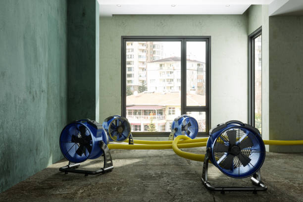 Best Flood restoration services  in Holiday Island, AR